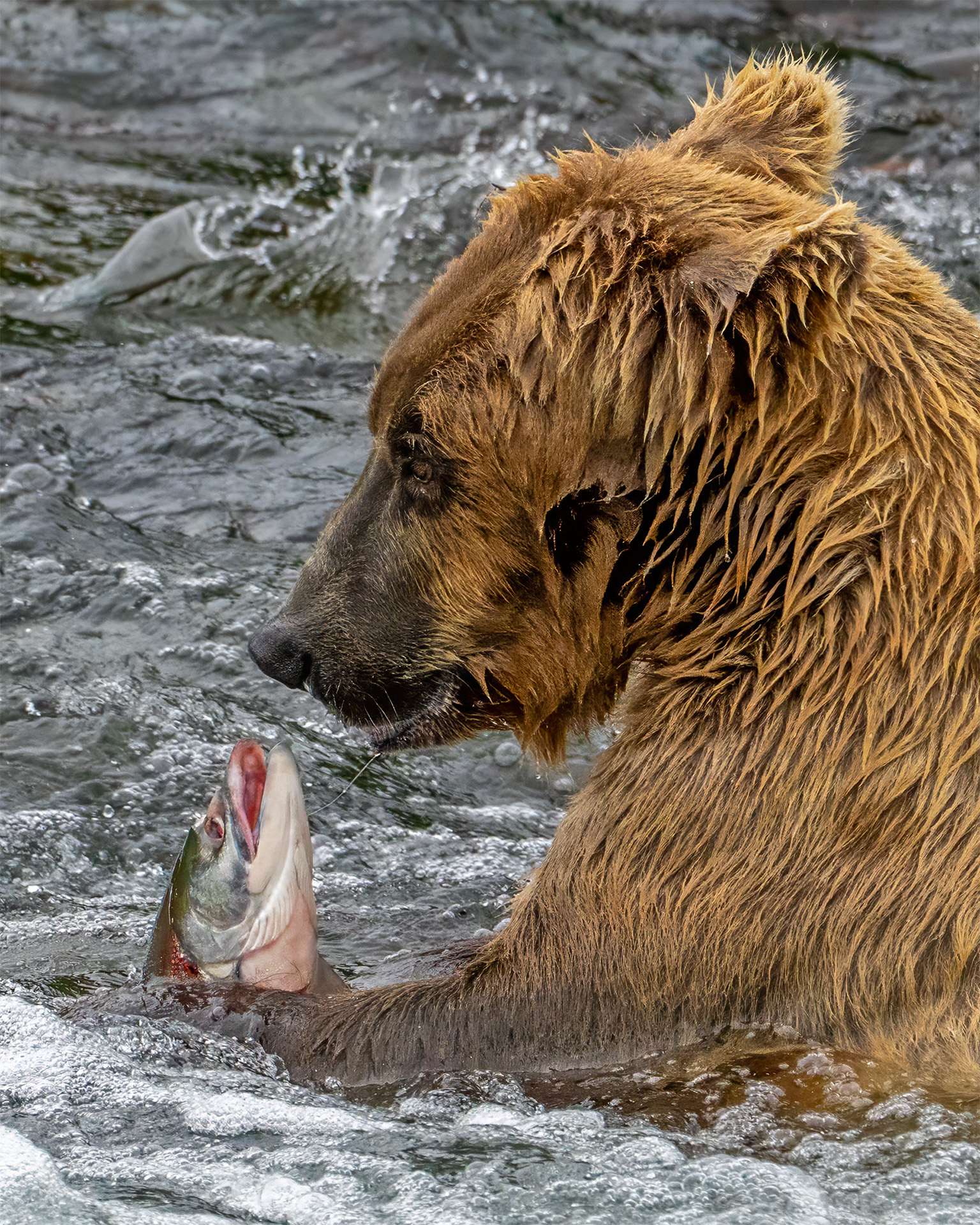 2nd PrizeOpen Nature In Class 3 By Sue Guy For Im Going To Eat You Now SEP-2025.jpg